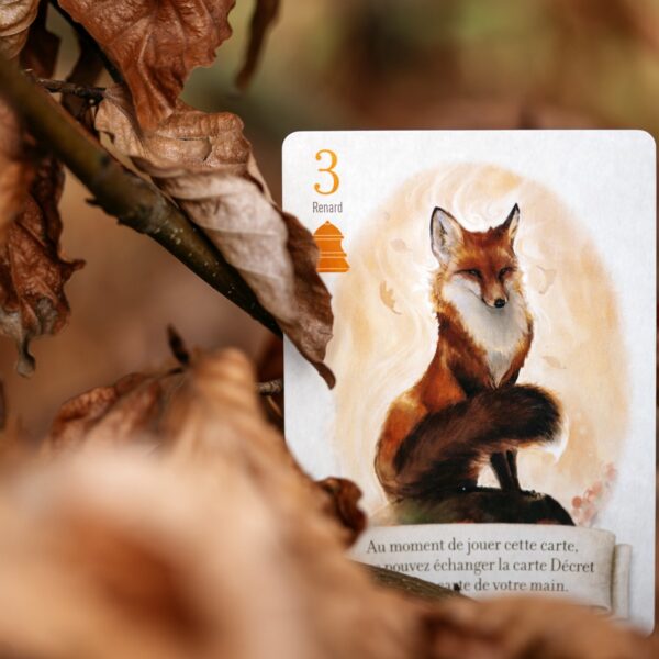 Le renard des bois