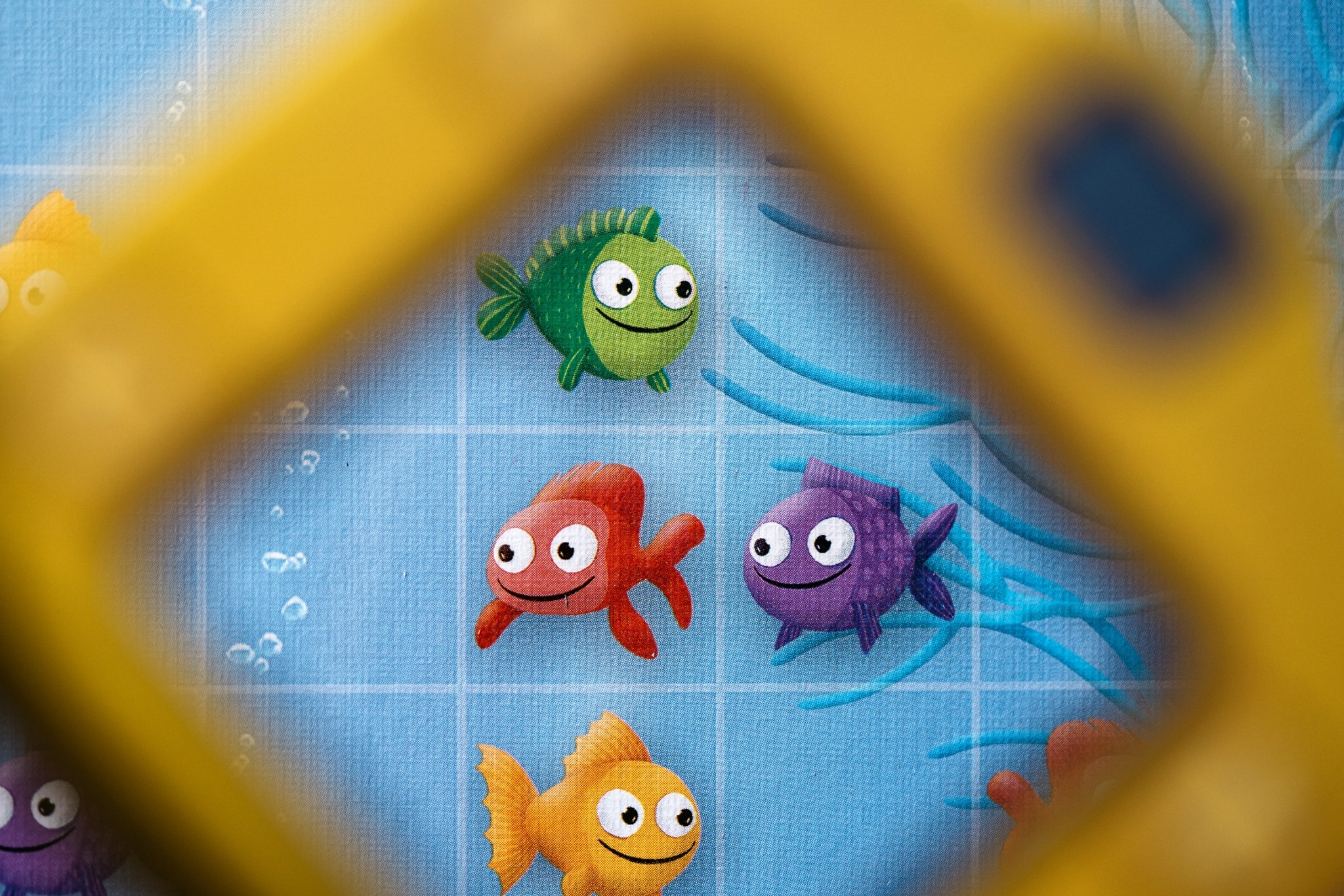 foto fish logis blackrock games jeu de société enfant
