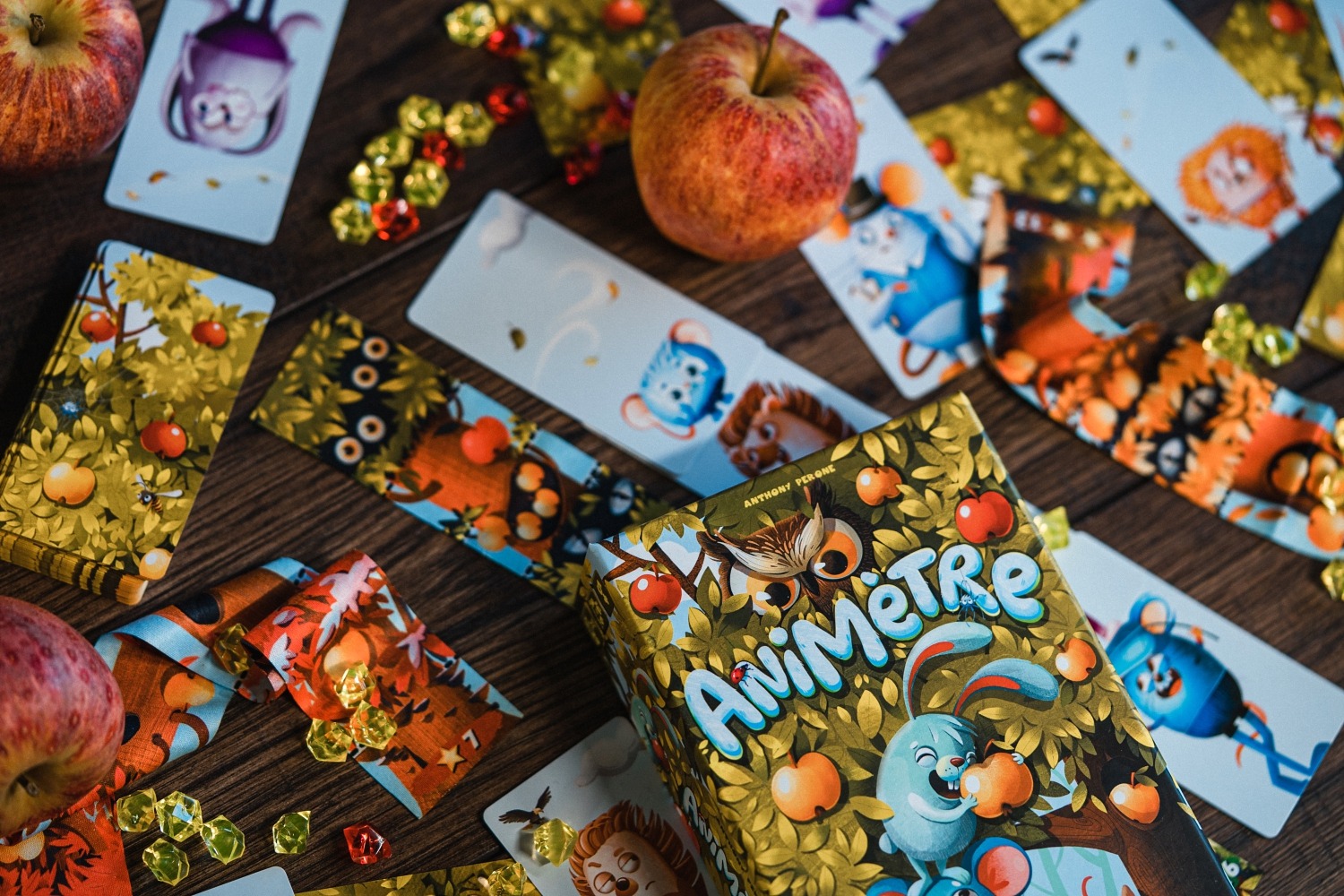 Animètre lifestyleboard game jeu de société 