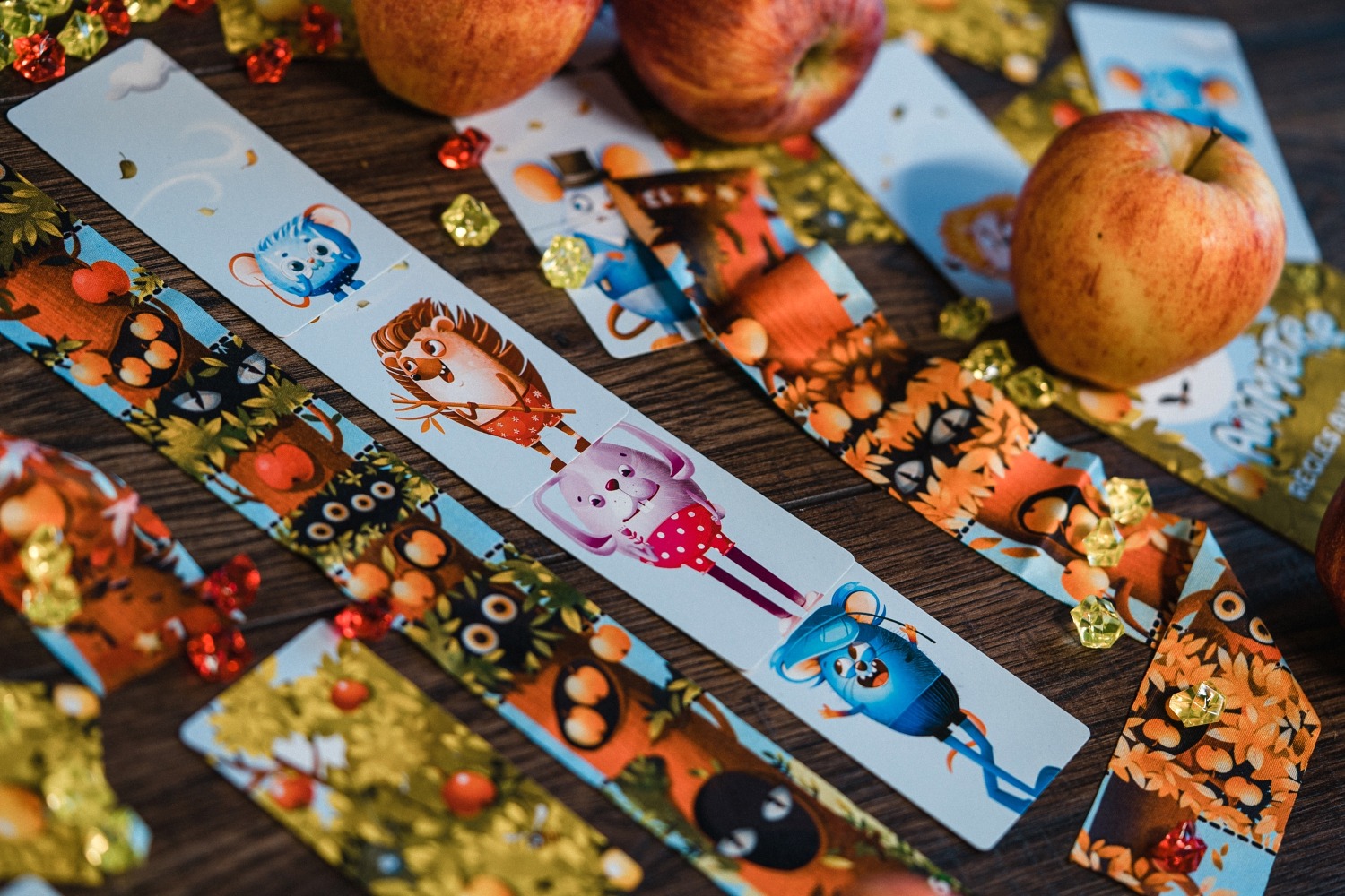Animètre lifestyleboard game jeu de société 