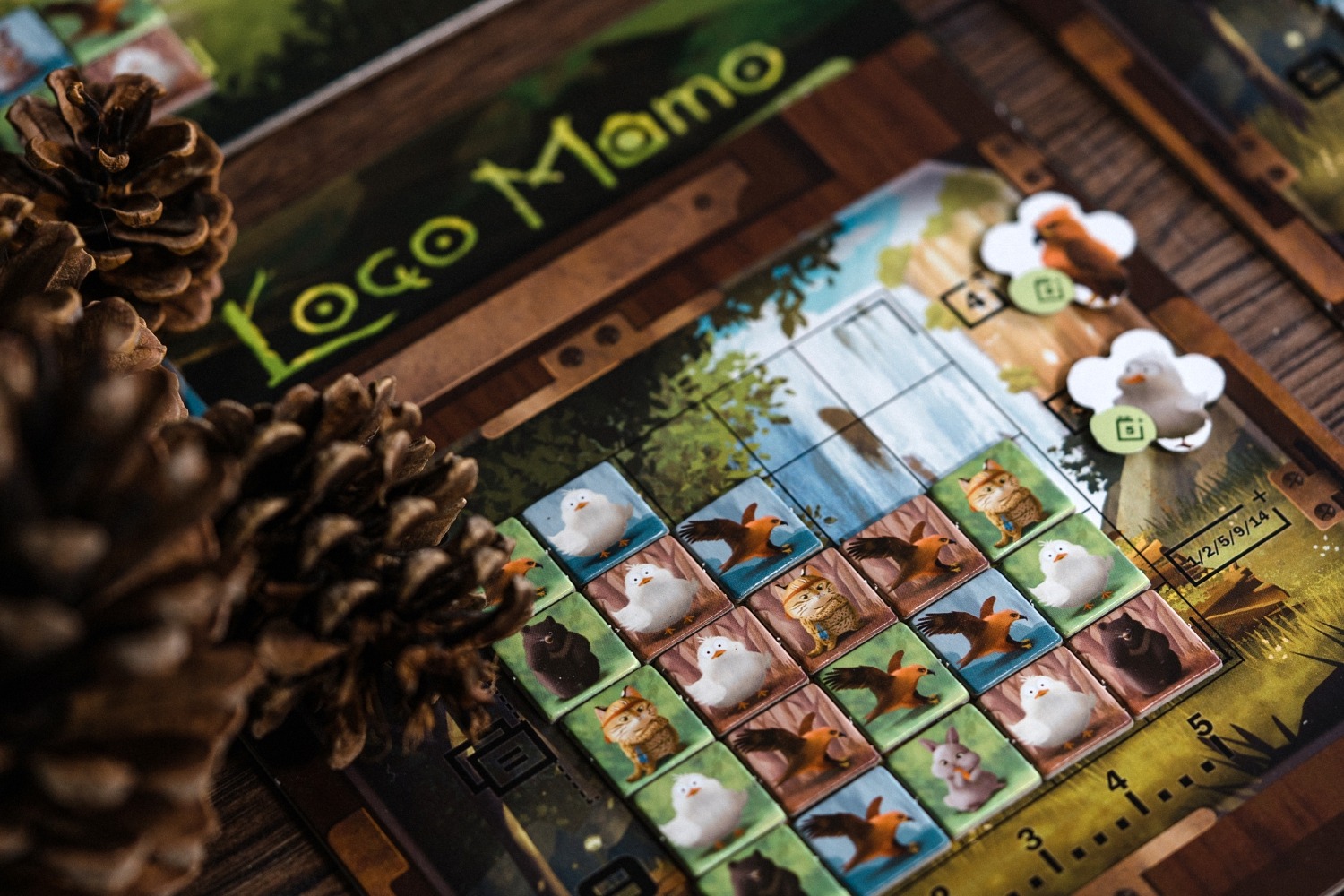 loco momo jeu société boardgame photography blam