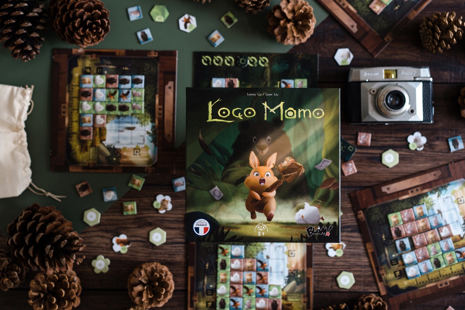 loco momo jeu société boardgame photography blam