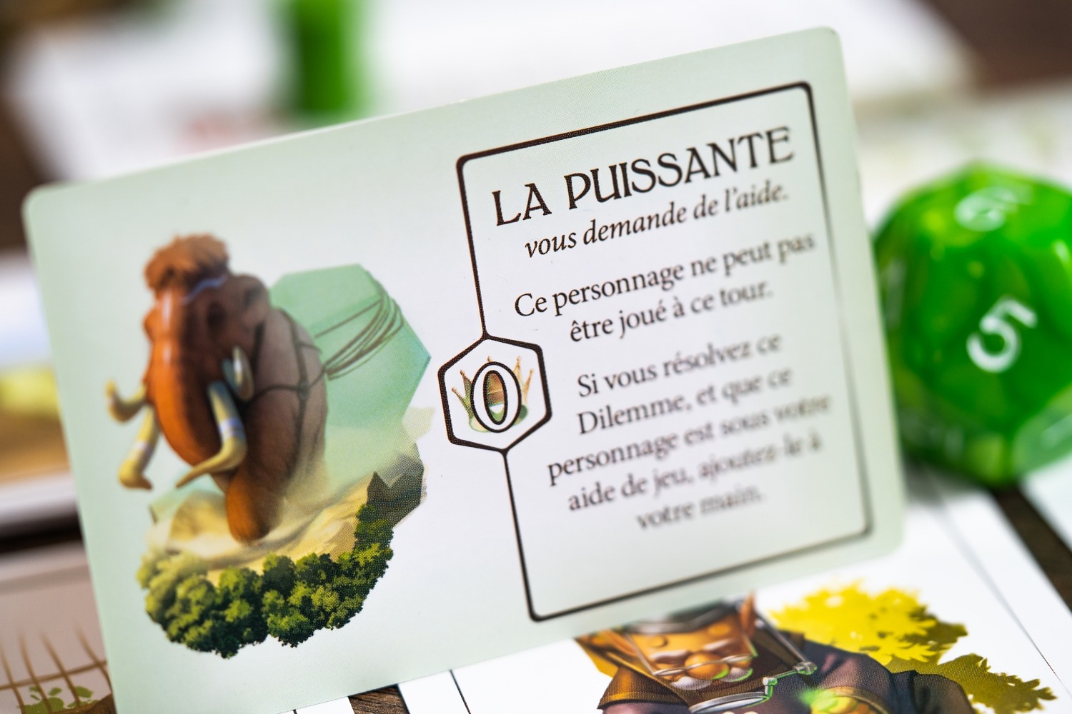 Conseil des 12 lucky duck games jeu de société boardgame