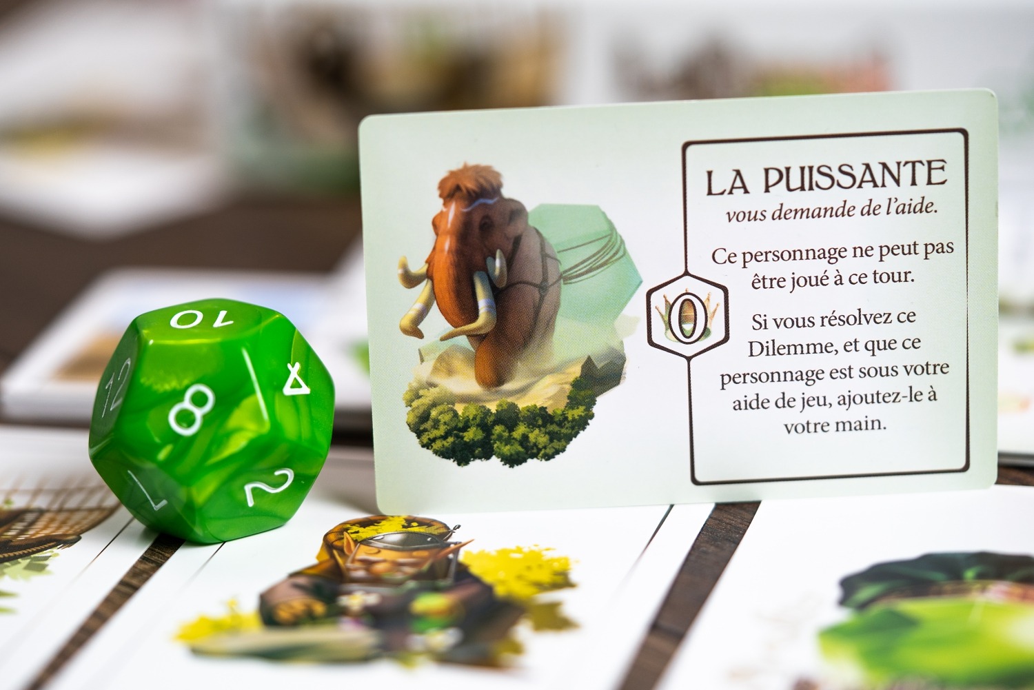 Conseil des 12 lucky duck games jeu de société boardgame