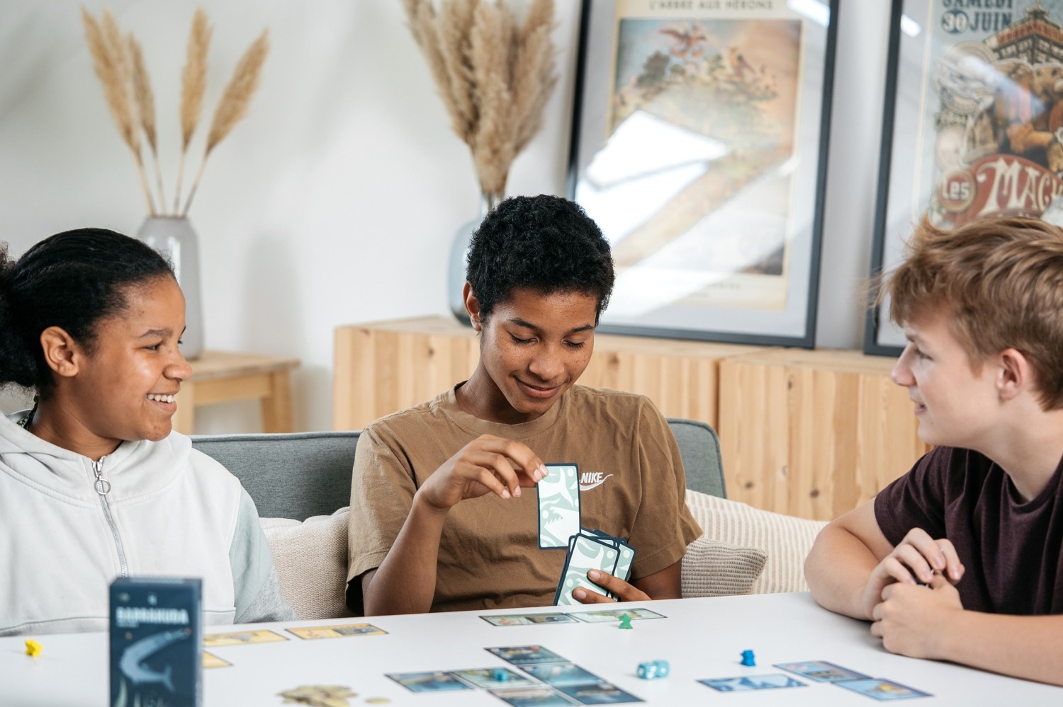 Barrakuda Helvetiq boardgame jeu de société 