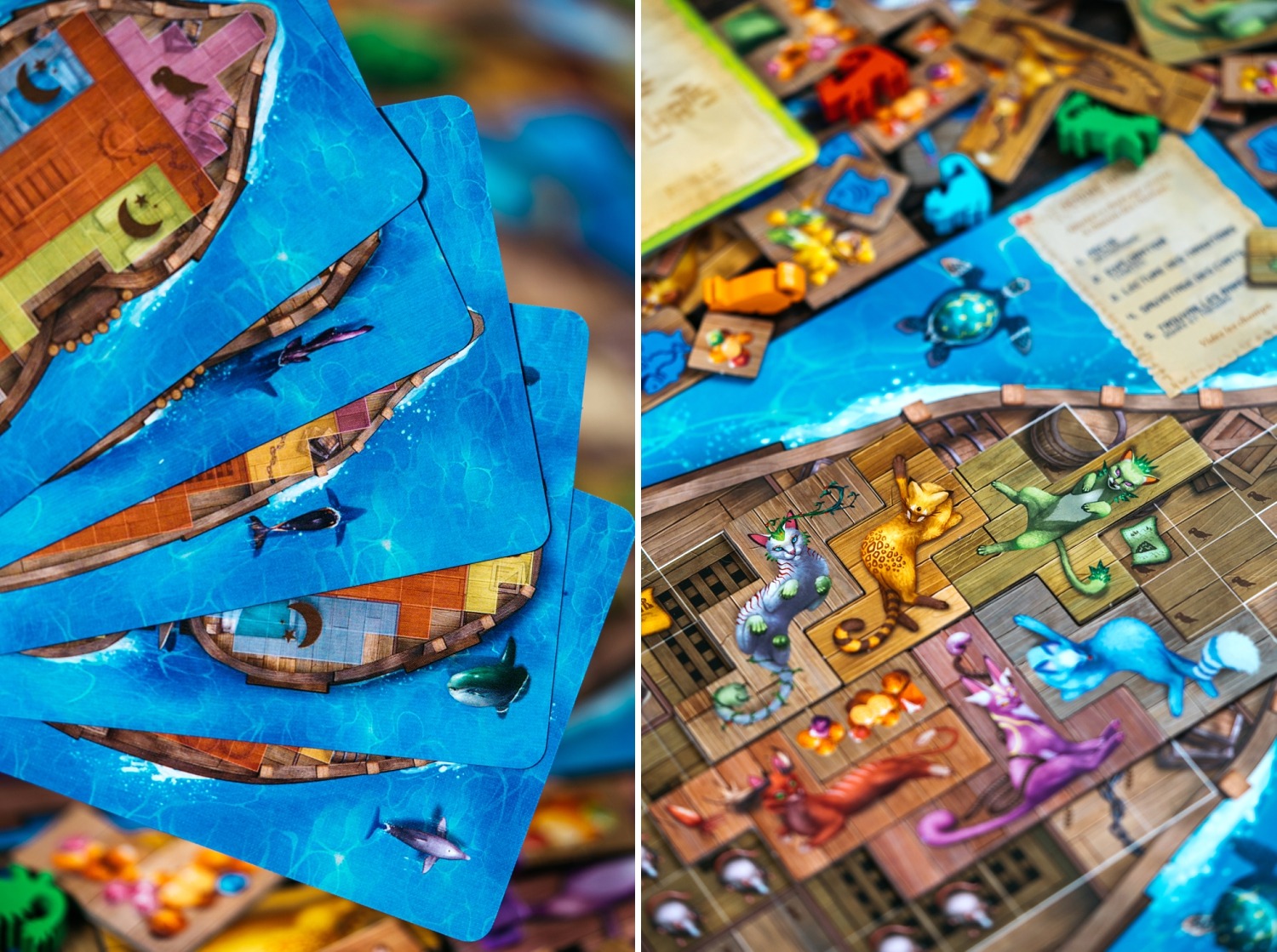 Ile des chats isle of cats lucky duck games jeu de société boardgame 