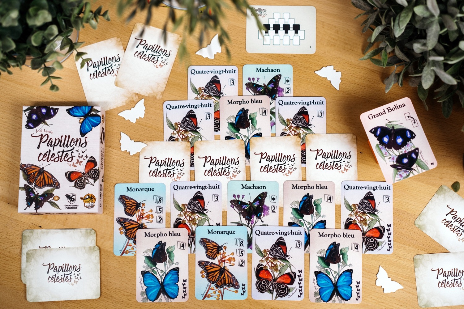 papillons célèstes jeu de société boardgame lucky duck game 