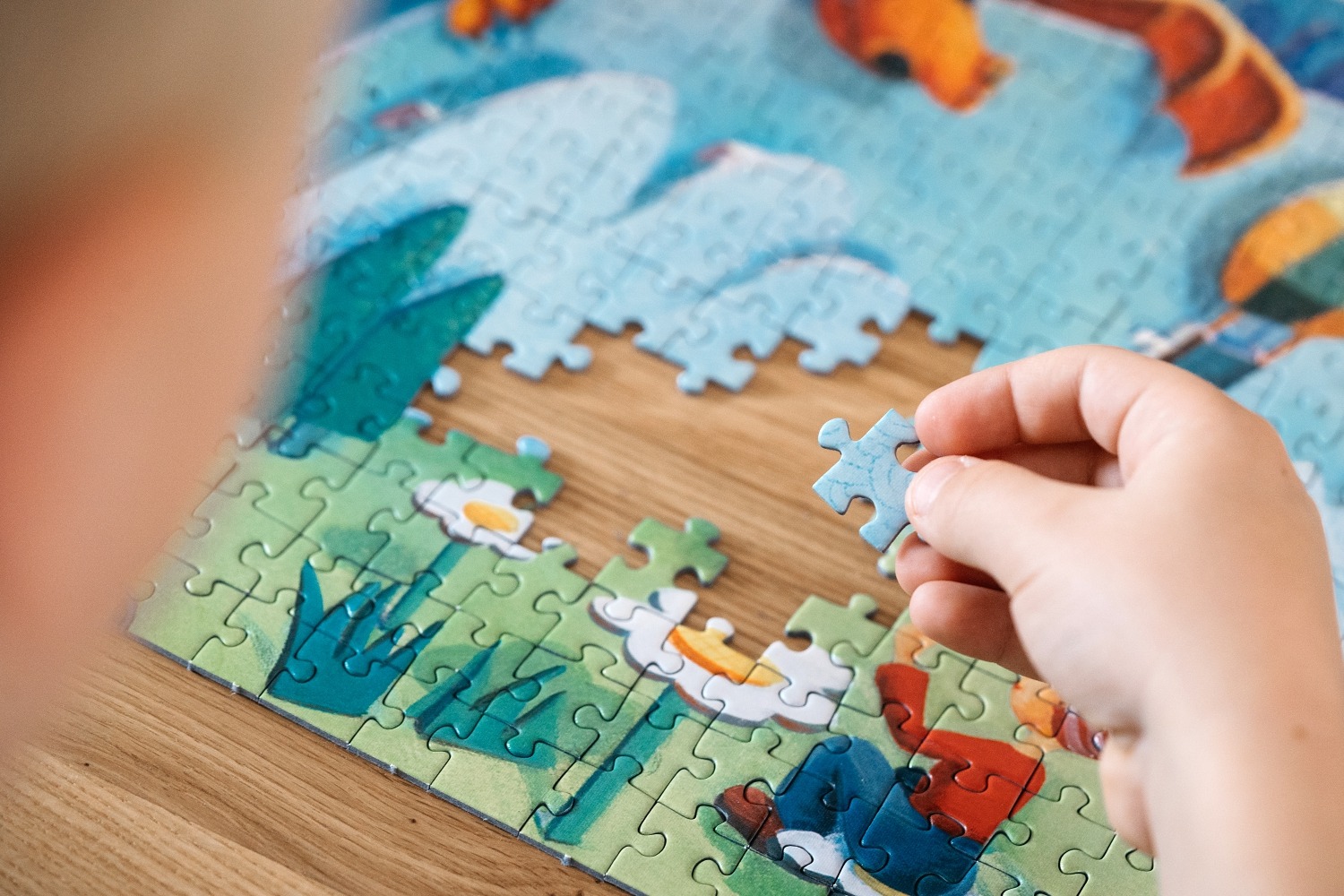 Marie Cardouat Puzzle dixit aventure libellud