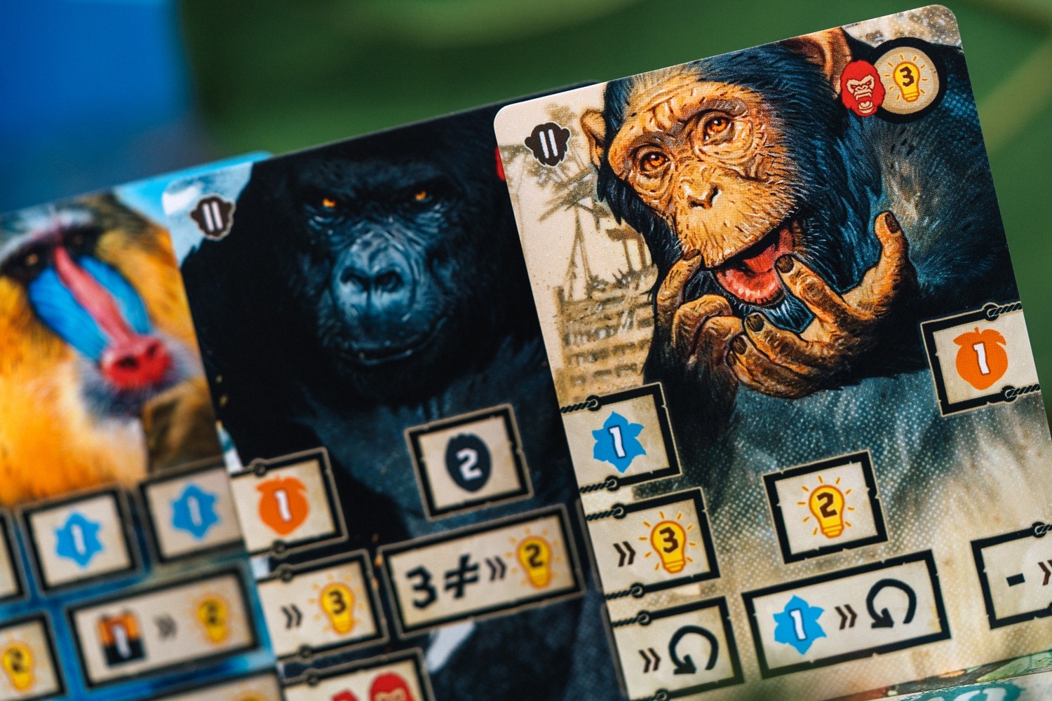 After us Catch up games Florian Sirieix Vincent Dutrait jeu de société boardgame blackrock games 