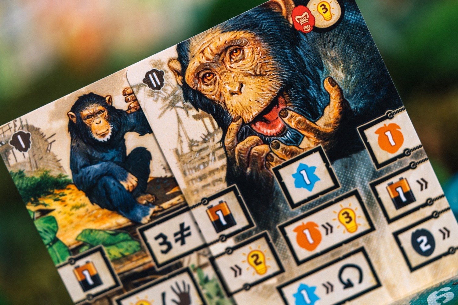 After us Catch up games Florian Sirieix Vincent Dutrait jeu de société boardgame blackrock games 