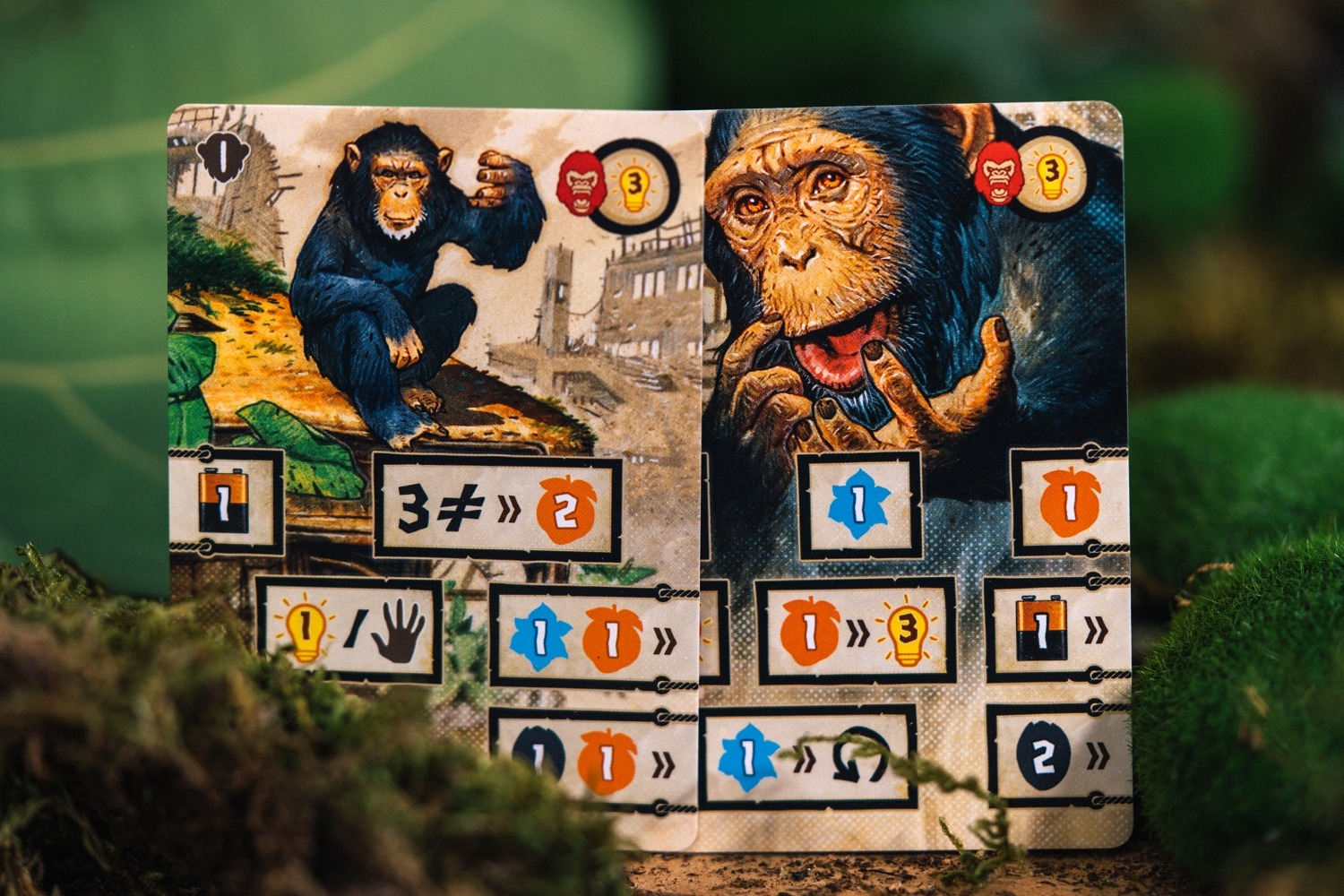 After us Catch up games Florian Sirieix Vincent Dutrait jeu de société boardgame blackrock games 
