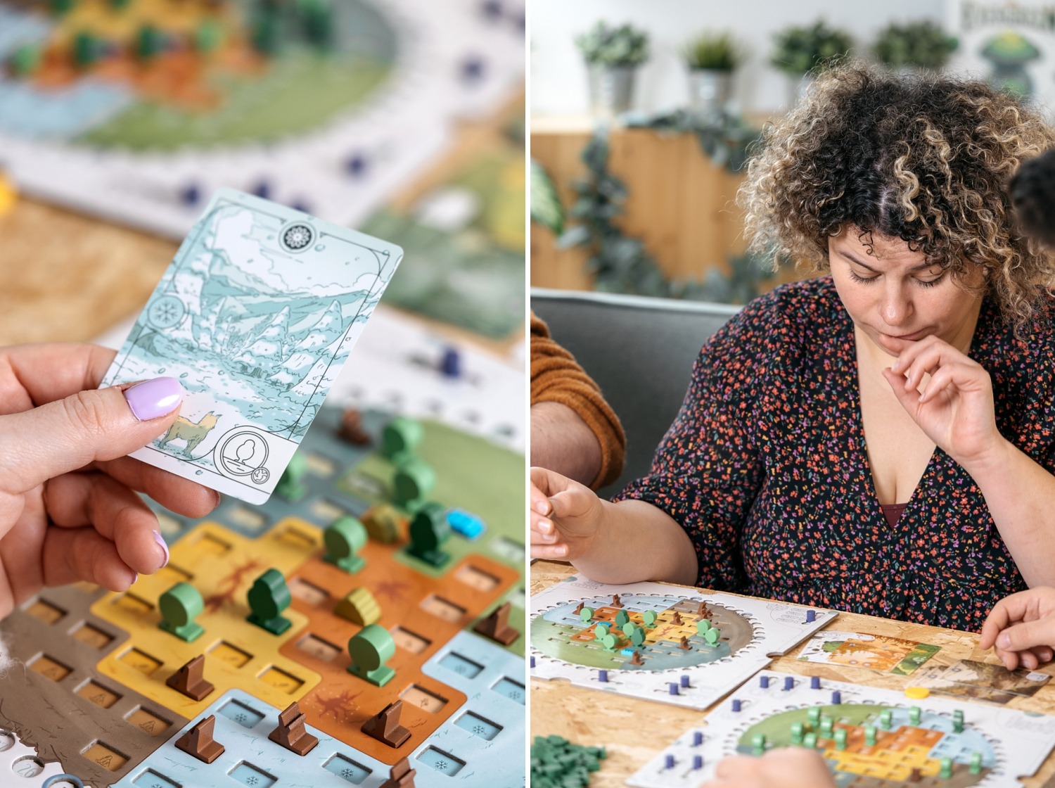 Evergreen gigamic jeu de société boardgame