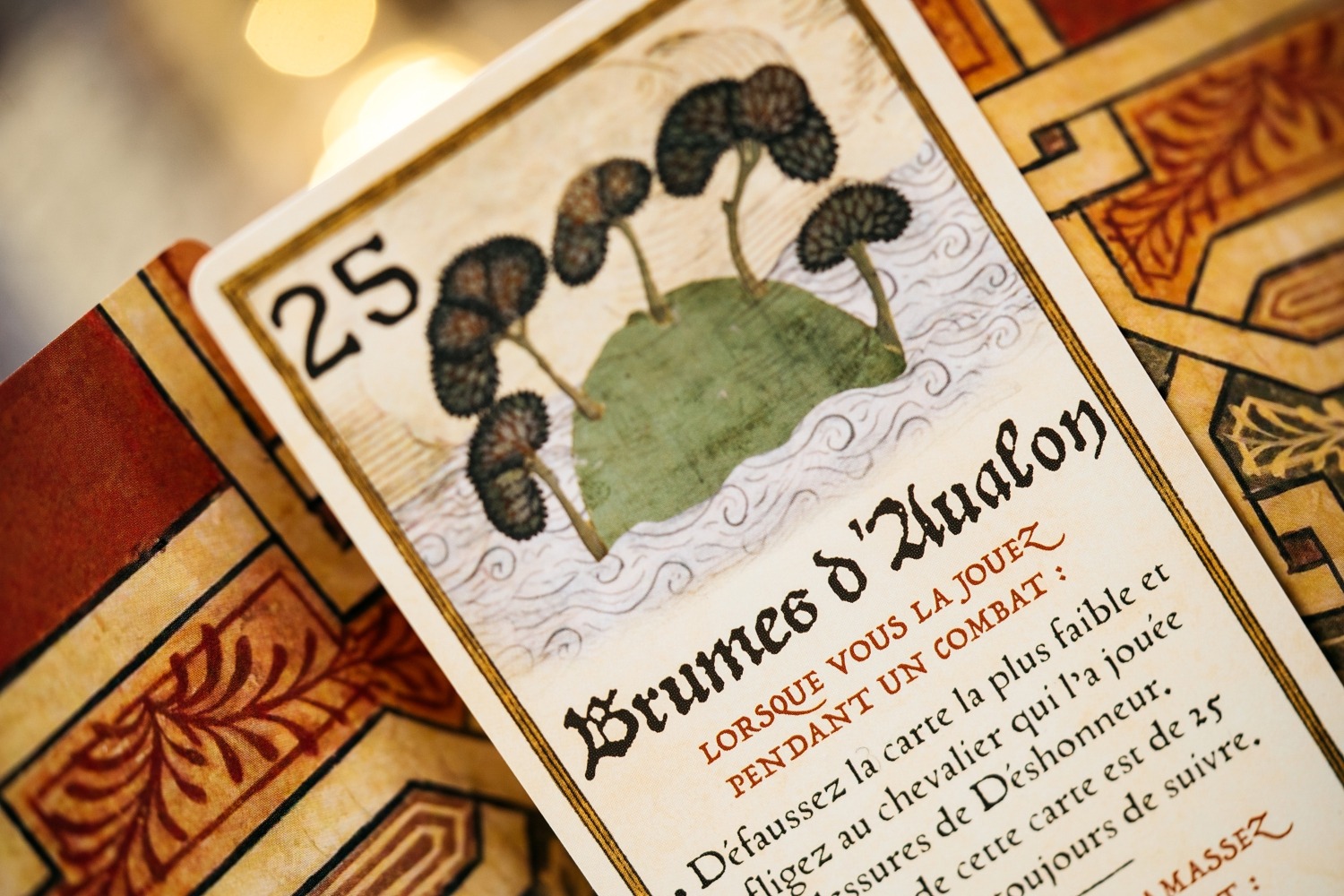Le tournoi d'Avalon Origames jeu de société boardgame