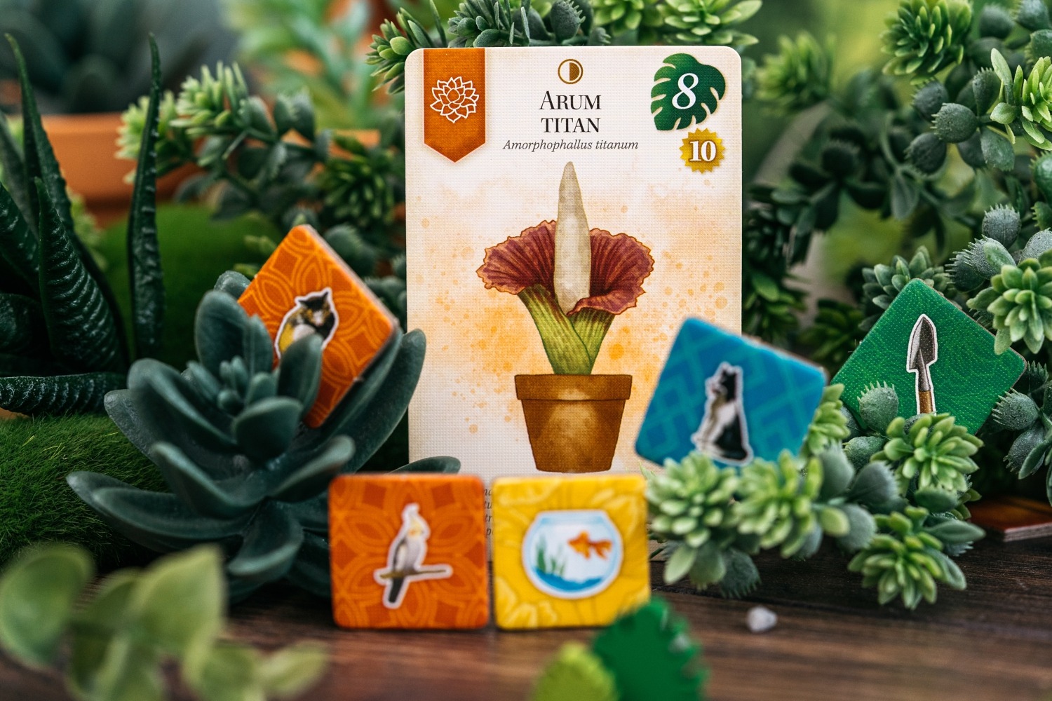 Verdant Lucky duck games jeu de société flatout games boardgame