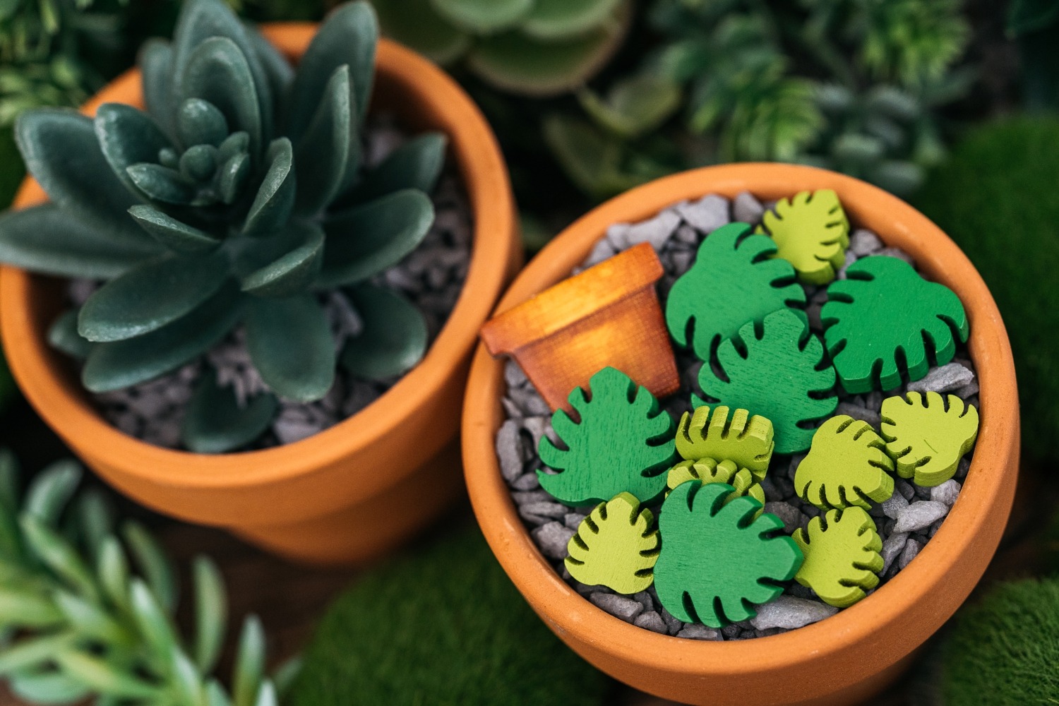 Verdant Lucky duck games jeu de société flatout games boardgame