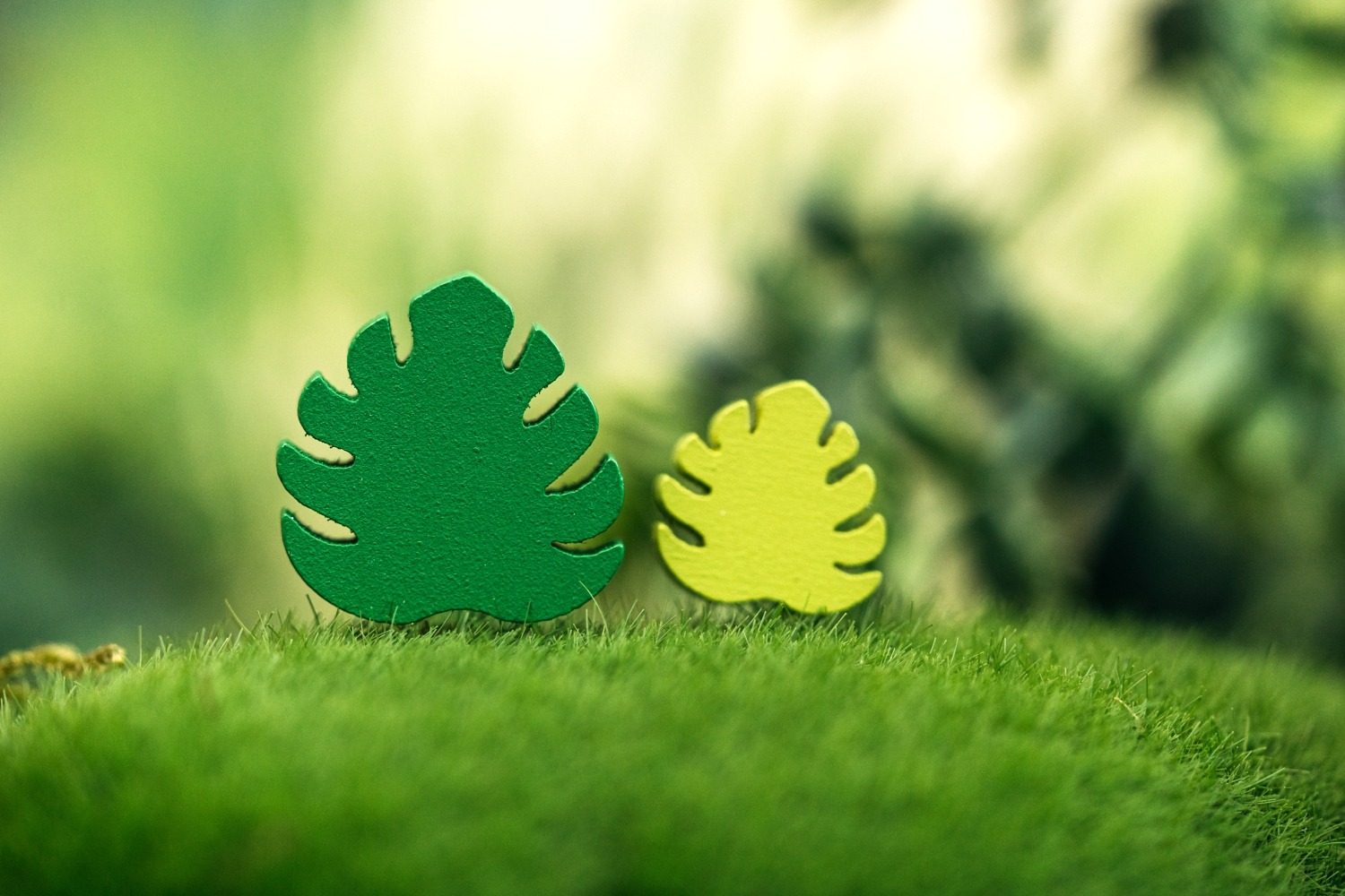 Verdant Lucky duck games jeu de société flatout games boardgame