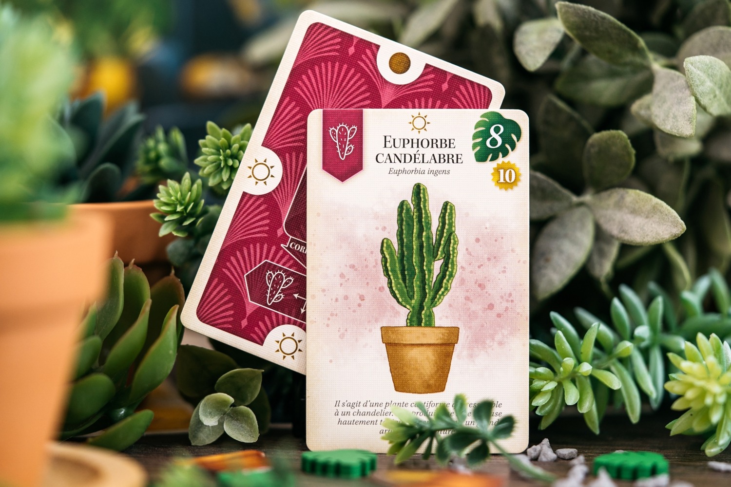 Verdant Lucky duck games jeu de société flatout games boardgame